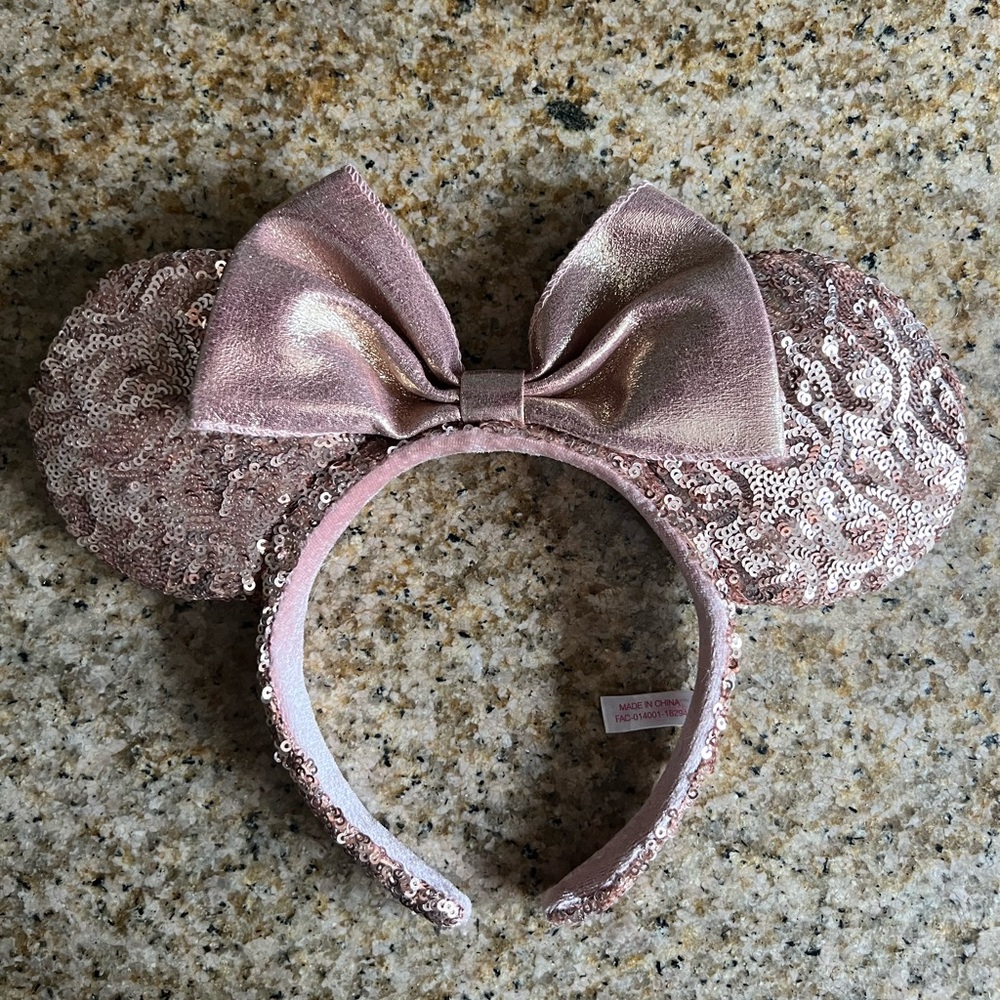 Disney Tokyo ears